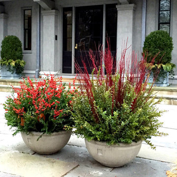 Container Planting Designs