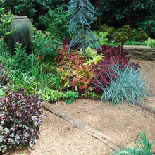 Shade Garden