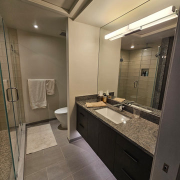 Main bath renovation