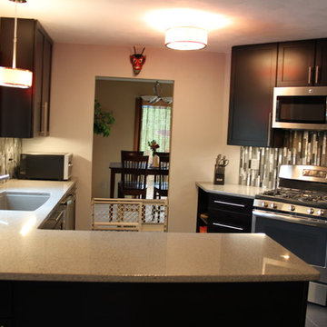 Stunning Stainless Contemporary Kitchen | Rockford, Illinois
