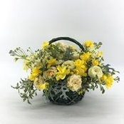 Nylana Alogirb's photo