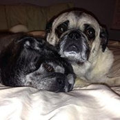 Kathy Bissonnette-Reid's photo