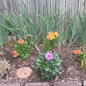 Deanna Leedy's photo