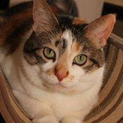 Foto de Amy Clauser
