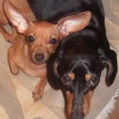 Beth Beverly's photo