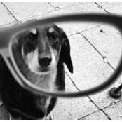 Melissa Shields-Nordness's photo