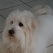 Photo de Sylvie Dijoux