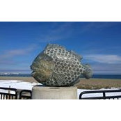 Polly Taylor's photo