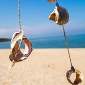 Vlad Dracul's photo