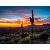 Connie Barclay's photo