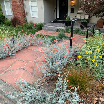 Cheerful low-water plants flank entry steps.