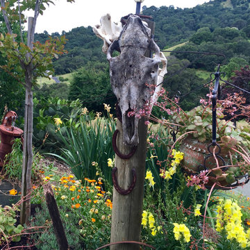 Gardens, Patios, Floral Bouquets