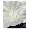 "Morning Glory with Black, 1926" Paper Print by Georgia O'Keeffe, 15"x18", 15"x1