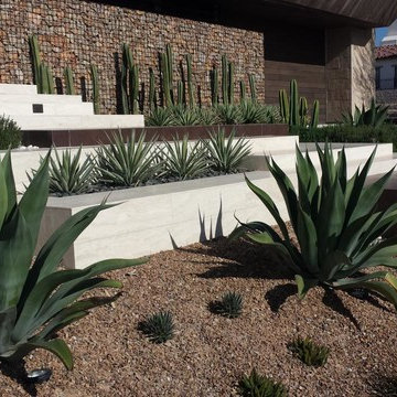 Modern Desert Projects