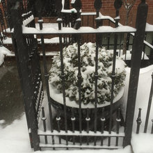 Wrought Iron in Chelsea