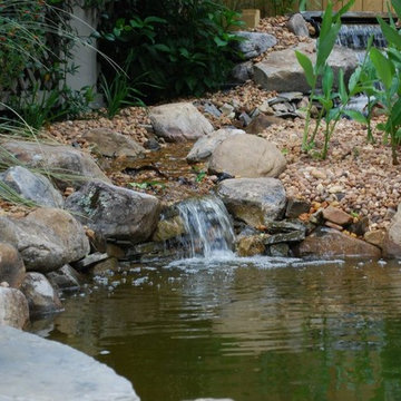 Pond Project