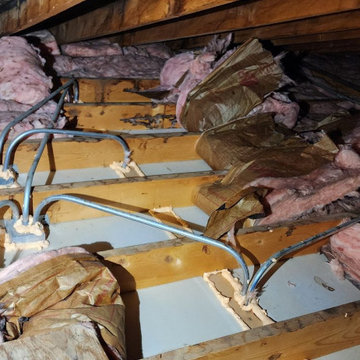 Attic Mold Remediation Assessment