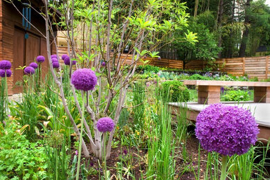 Design ideas for a mid-sized contemporary full sun backyard stone landscaping in DC Metro.
