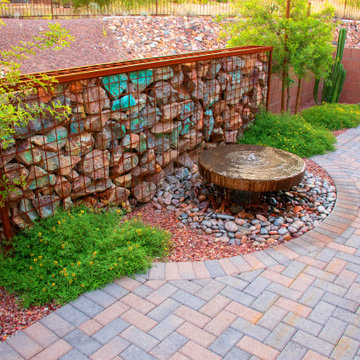 A Stroll through a Tucson Neighborhood