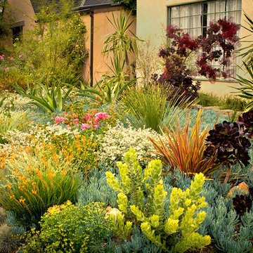 Beverly Grove,  Monet Landscape -Front Yard