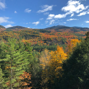 View Southeast