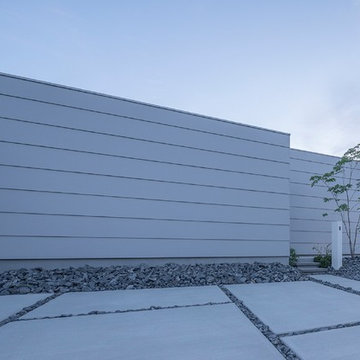 Wall