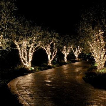 Holiday Lighting - 2014 Season
