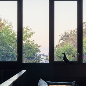 Project Hawthorn | Ascui & Co