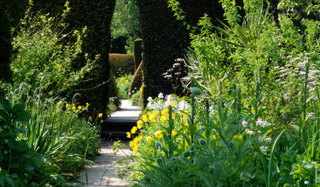 8 Ways a Garden Can Draw You In