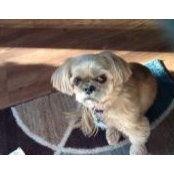 Peggy Freyberg's photo