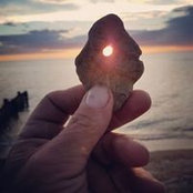 Lynn Johnson's photo