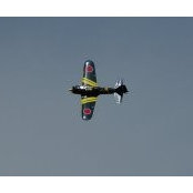 Neil Mabrouk's photo