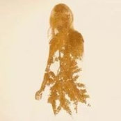 Foto von Ivy Greene