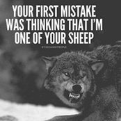 Vickie King's photo