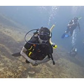 Vincent Niew's photo