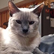 Vicki Henderson's photo