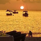 Ton Stam's photo