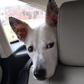 Amy Monteleone's photo