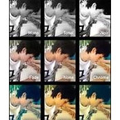 Nuttanon Pornpipakさんの写真