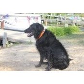 Heather Costello's photo