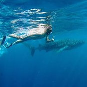 Brandon Neumann's photo