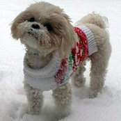 Chuck Latimer's photo