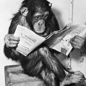 Todd Johnson's photo