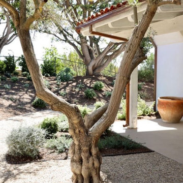 Santa Barbara Spanish Mediterranean