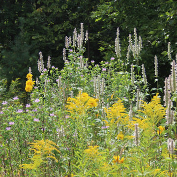Native Plant Gardens