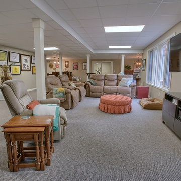 Basement Remodel - Rochester Hills, MI
