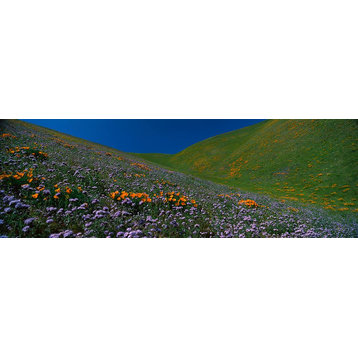 Wildflowers on a Hillside California Panoramic Fabric Wall Mural