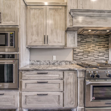 2017 Trails at Regal Park Spec Home