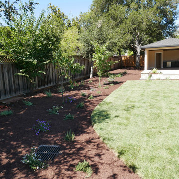 Los Altos new build
