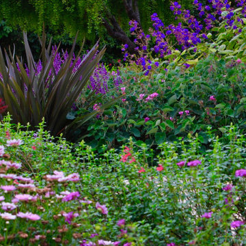 Colorful Garden Design